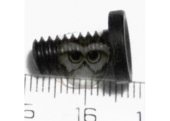 Stalker S PPK. Винт поджимной