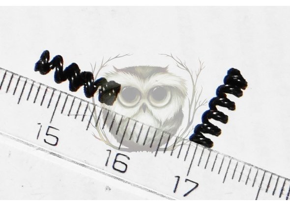 Тигр, СВД. Пружина выбрасывателя