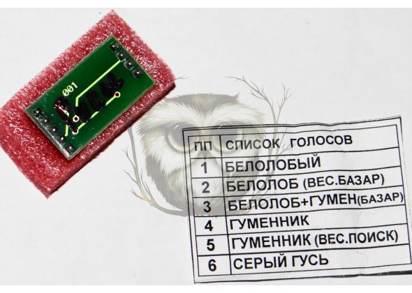 Чип Биофон 6 голосов: гусь