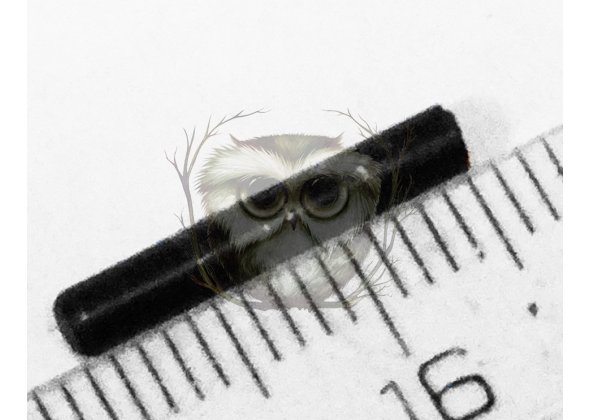 ИЖ-43Е. Ось рычагов выбрасывателей