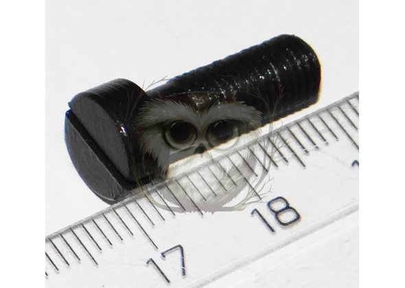 ТОЗ-34. Винт основания УСМ (один шлиц)