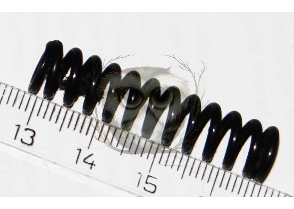 СВТ(АВТ)-40. Пружина боевая