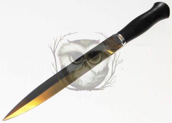 Нож Свинокол, 95х18 кованый Данилов
