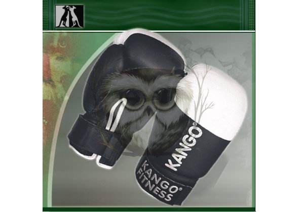 Перчатки бокс 8 унций KANGO, черно-белые, кожа (7006)