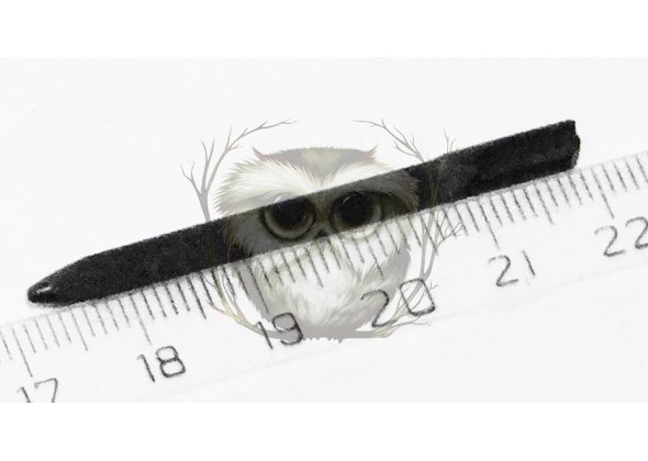 ИЖ-71, ИЖ-79. Ударник без проточки под штифт