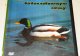 Диск DVD Охота на водоплаваюю птицу
